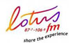 Lotus