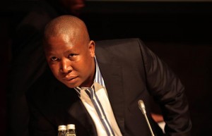 Julius Malema has plans to launch a new political party. – image - talkzimbabwe.com