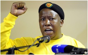 Julius Malema apologises for having supported Zuma Image: telegraph.co.uk